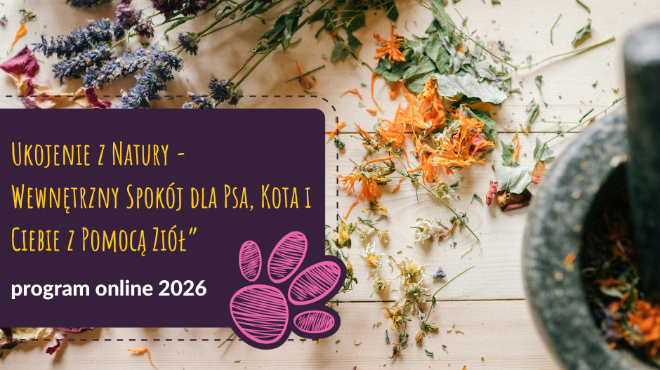 Ukojenie z Natury - Program Mentoringowy dla Opiekunek Psów i Kotów Online