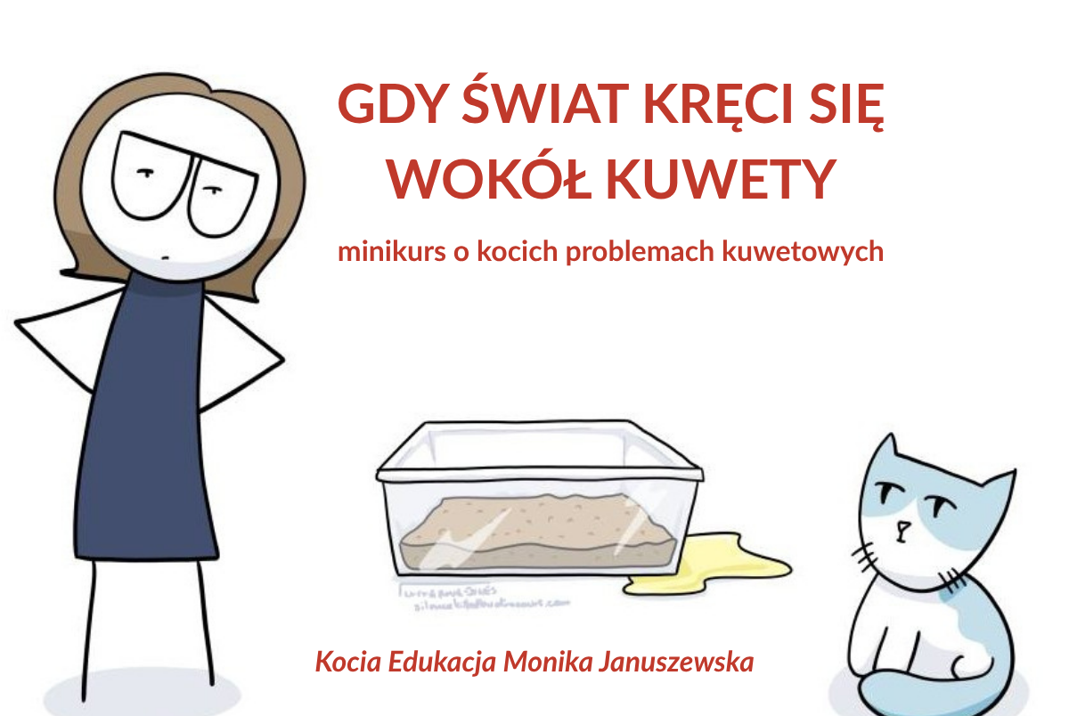 Gdy świat kręci się wokół kuwety