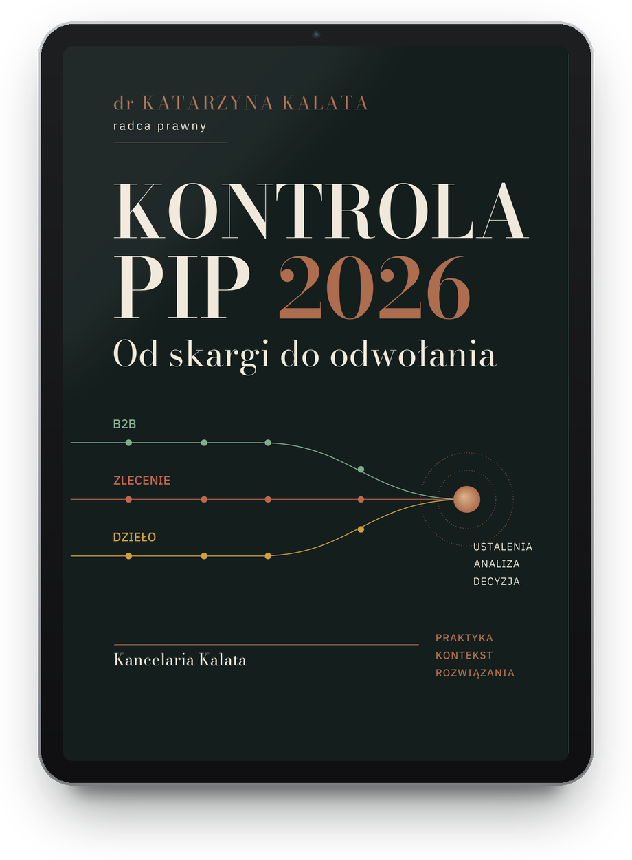 E-book „Kontrola PIP 2026. Od skargi do odwołania” na tablecie